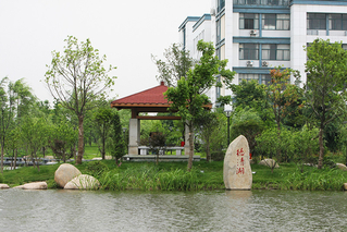 德清湖岸